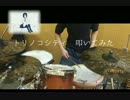 【思い付きで】トリノコシティを叩いてみた【すみませｎ】