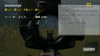 [PUBG]ドン勝が食べたい初心者向け解説講座[優勝]