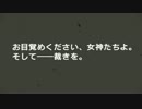 #71ファイアーエムブレム 暁の女神 マニアック ノーリセ