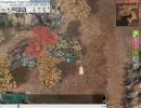画質test
