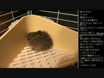 [2017.05.03]永井先生 雑談 (2/4)