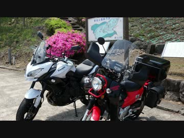 【Versys】つつじを見に行ってきた 【クロスカブ】