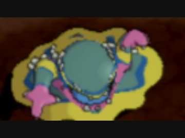 [ポケモンSM]ポケモン界を救うためのキノミストレート 41