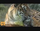 ぽんこつフレンズ 2話「とーかいちほー」【東山動植物園】