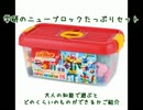 ニューブロックで遊んでみた
