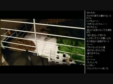 [2017.05.04]ひろくん 雑談