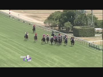 【競馬】ジャスタウェイ全レースまとめ