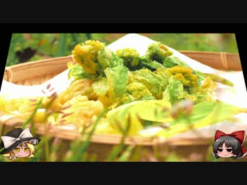 ゆっくりの田舎と自然　第１１話「桜とふきのとう」