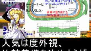 魔理沙の居酒屋競馬予想　290　5月第1週　「NHKマイルカップ」