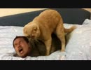 交尾する先輩.sex