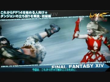 【FF14】これからFF14を始める人向け★ ダンジョンの立ち回りを解説 初級編