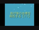 【誰得水槽22】我が家の水槽を報告する【11】