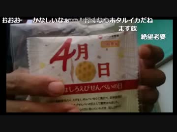 絶望しろえびせんべいを食べるもまいうー出来なかったしみっちゃん