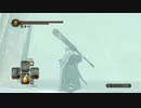 【ダークソウル2実況】いつまでも成長しない大人の初見プレイ　DLC56