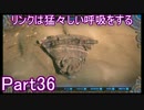 リンクは猛々しい呼吸をするPart36
