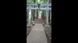 5月6日白幡（だるま）神社参拝
