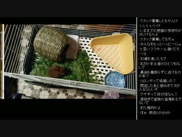 [2017.05.06]ひろくん 雑談 (1/5)