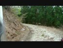 山形県　西川町大江町　林道小柳線から小釿楢山線　2017/5/4