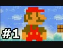 【実況】初めてのスーパーペーパーマリオ #1