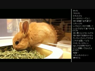 [2017.05.06]ひろくん 雑談 (4/5)