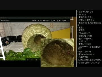 [2017.05.06]ひろくん 雑談 (5/5)