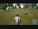 【ch】うんこちゃん『PLAYERUNKNOWN'S BATTLEGROUNDS』part29【2017/05/04】