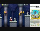 TSREC　DS_NewSmario_06　(2017-0507 04:27)