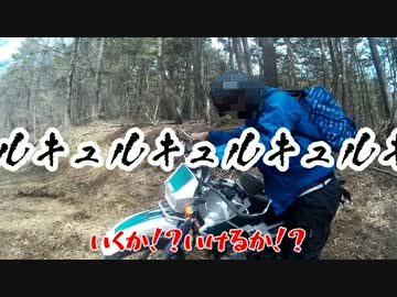 長野の林道で遊んできた！第１話 牽引とかした話