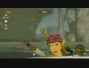ゼルダBotW 奇妙な顔をしながら高速で泳ぐリンク