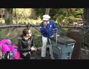 東京ディズニーシー ファンカスト 橋本さん Part1