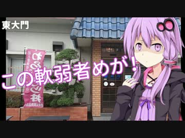 【Ninja1000】奥多摩・秩父ツーリング【結月ゆかり】
