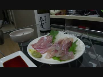 釣りどれんの電車釣行記　14　～ひとつテンヤでタイを狙う～