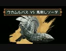 【MHX】全身タイツの女達が行くモンハン日記【崩竜前編】