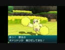 【14話】サファリ気分でポケットモンスタームーン【初見のんびり実況】