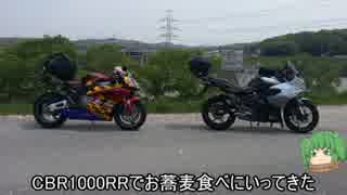 【CBR1000RR】お蕎麦食べにいってきた（兵庫県）【ツーリング】