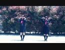 【踊ってみた】イドラのサーカス【Noel休日組】