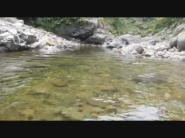 渓流泊がしたくなって・・・2016年今早出川編