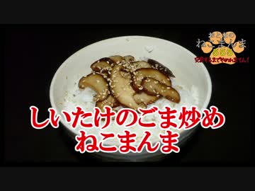 【おとなのねこまんま555】完食するまでやめれまてん！_Part009