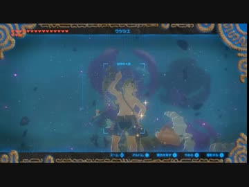ゼルダの伝説 ブレスオブザワイルド - 白髪のライネル　参考動画
