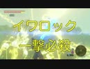 ゼルダの伝説 BotW イワロック 一撃必殺