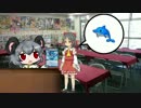 デュエカス☆☆