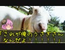 【クトゥルフ神話TRPG】ヤギと男女と7775　part6
