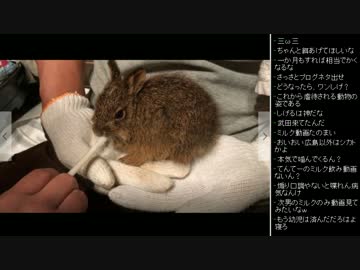 [2017.05.09]永井兄弟 雑談 (2/4)