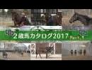 【POG】2歳馬カタログ2017 Part.1-1 / JRA-VAN[公式]