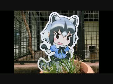 【東武動物公園】けものフレンズの園内アナウンス