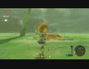 【まったり平原ライフ】ゼルダの伝説ブレスオブザワイルド49【実況】
