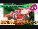 【アニメ10週年】らき☆すた～陵桜学園 桜藤祭～実況プレイ　＃14