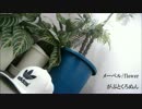 【がぶとくろぬん】メーベル/flower 歌って踊ってみた【誕生日】