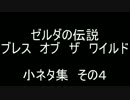 BotW 小ネタ集４