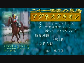 週刊100名馬　20世紀の100名馬　アグネスタキオン　メジロドーベル 週刊100名馬 20世紀の100名馬 アグネスタキオン メジロドーベル